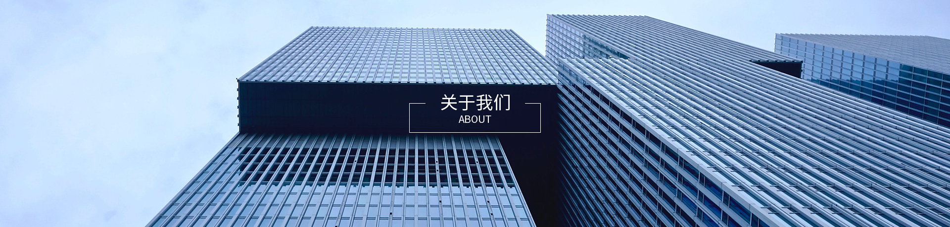 公司簡介